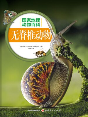 cover image of 无脊椎动物